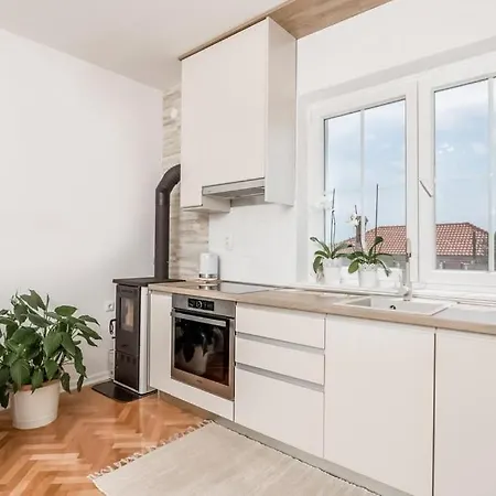 Apartment Dubravka Povljana Exterior foto